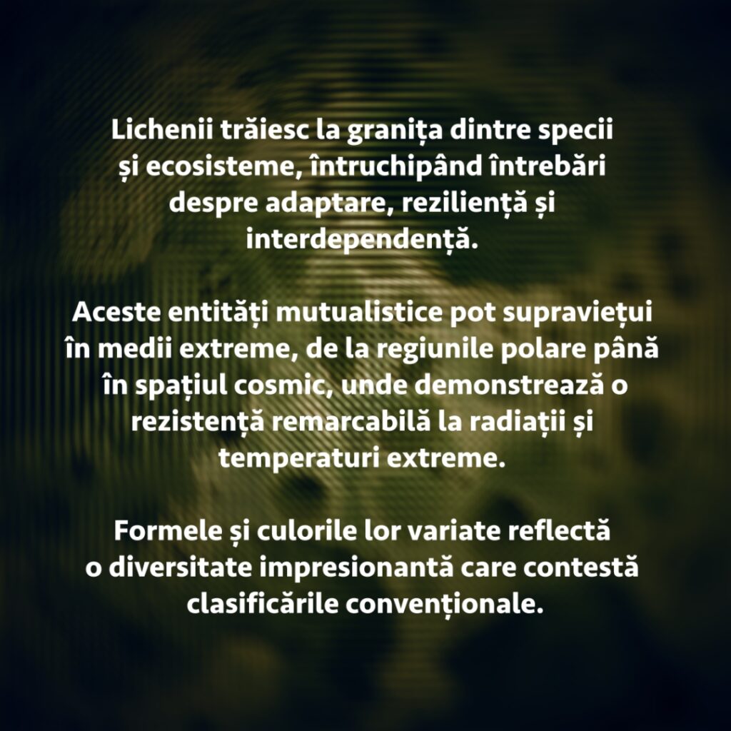 11 LICH