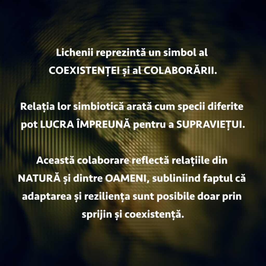 18 LICH